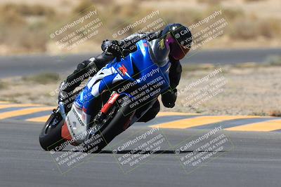 media/May-14-2023-SoCal Trackdays (Sun) [[024eb53b40]]/Turn 5 Tree of Life (1125am)/